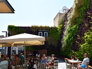 The Green Living Wall